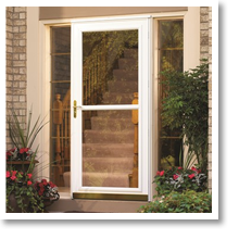 Storm Doors